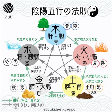 陰陽五行 動物|五行